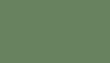 RAL 6011 Reseda Green Polyester Smooth and Glossy (Tribo)