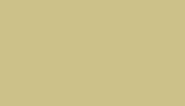 RAL 1000 Grünbeige Polyester Glatt Glänzend (Tribo)