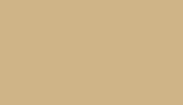 RAL 1001 Beige Polyester Glatt Glänzend (Tribo)