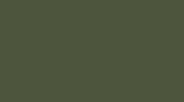 RAL 6003 Olivgrün Polyester Grobstruktur Glänzend