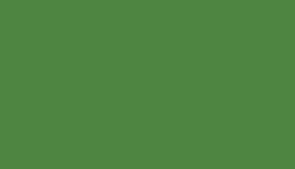 RAL 6017 May Green Polyester Smooth and Glossy (Tribo)